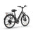 URLIFE E26 36V 250W Electric Bike with 26-inch Tires and 80KM Range