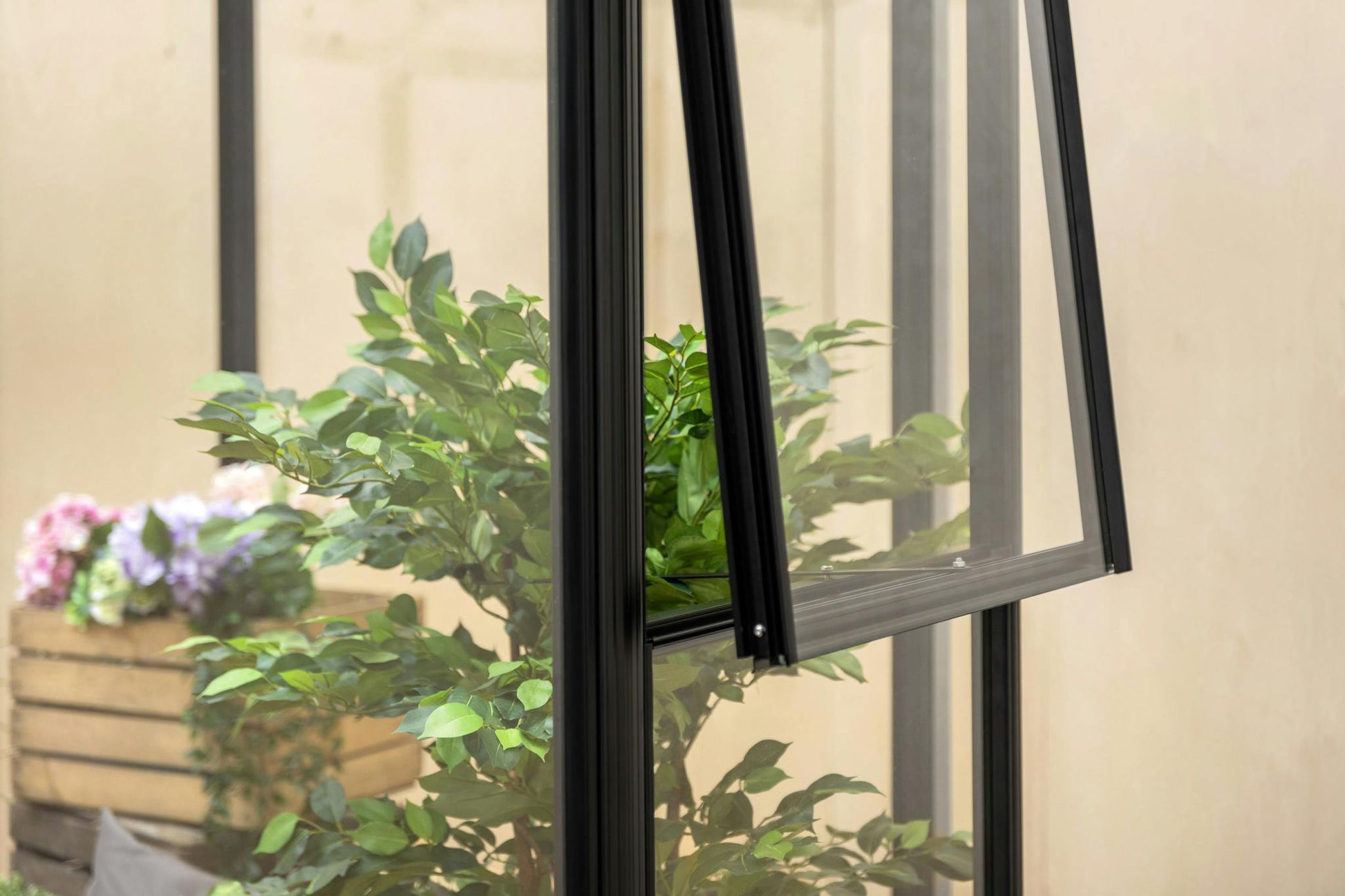 Greenhouse Lina