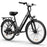 URLIFE E26 36V 250W Electric Bike with 26-inch Tires and 80KM Range
