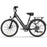 URLIFE E26 36V 250W Electric Bike with 26-inch Tires and 80KM Range
