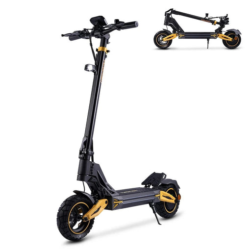 TWOFISH V2 MAX Electric Scooter with 800W Motor and Folding Design
