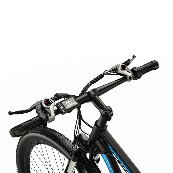 DUOTTS C29 Electric Bike 750W Motor with Rear Rack, 48V 15Ah Battery, 29-Inch Wheels