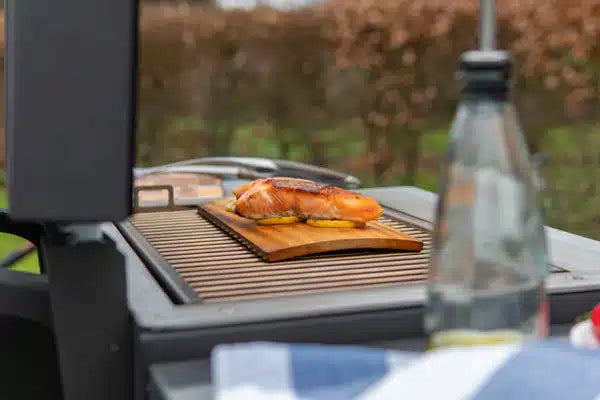 Hestia 300 Heat & Grill Outdoor Garden Stove