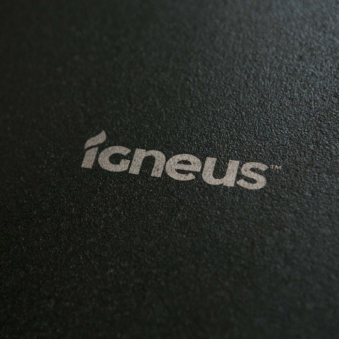 Igneus Cast Iron Roasting Tray