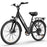 URLIFE E26 36V 250W Electric Bike with 26-inch Tires and 80KM Range