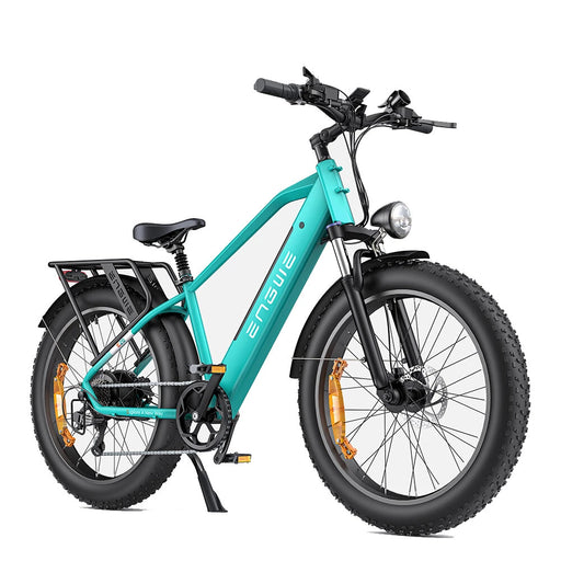 ENGWE E26 Electric Bike 48V 16Ah 250W Fat Tyre All-Terrain E-Bike – Black