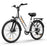 URLIFE E26 36V 250W Electric Bike with 26-inch Tires and 80KM Range