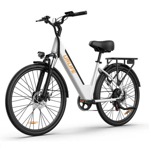 URLIFE E26 36V 250W Electric Bike with 26-inch Tires and 80KM Range