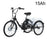 GOGOBEST GF100 Electric Tricycle 36V 15Ah Battery 350W Motor 24inch 70KM Range 200KG Load