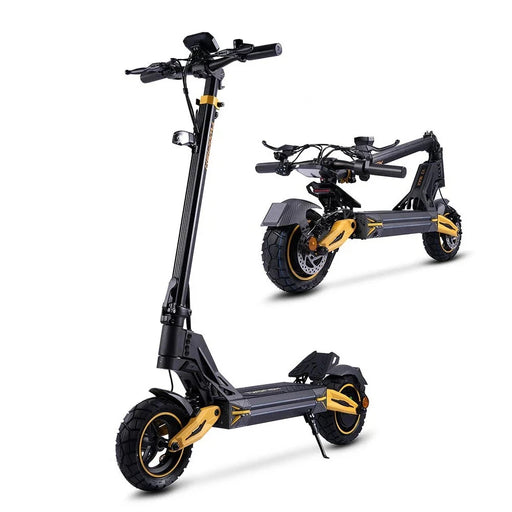 TWOFISH V2 MAX Electric Scooter with 800W Motor and Folding Design