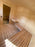 Halo Saunas Tranquil Ellipse Sauna 5m x 2.38m