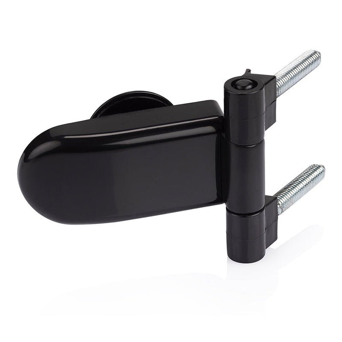 Glass Sauna Door with Black Timber Frame (Raiser Black)