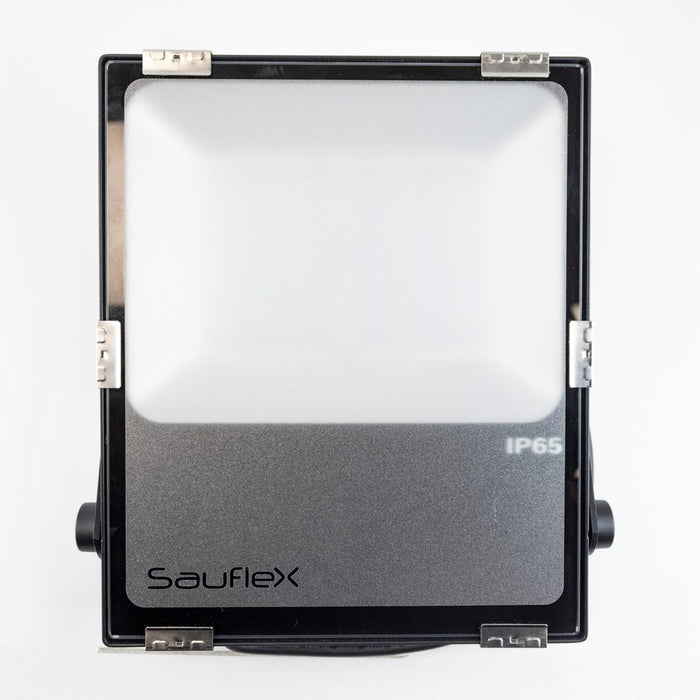 SAUFLEX 50w rgb led floodlight with control unit