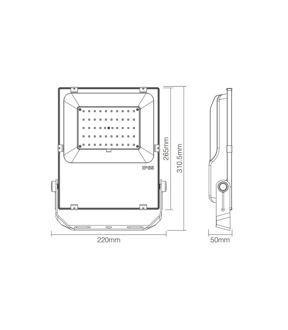 SAUFLEX 50W RGB LED FLOODLIGHT, WITH CONTROL UNIT