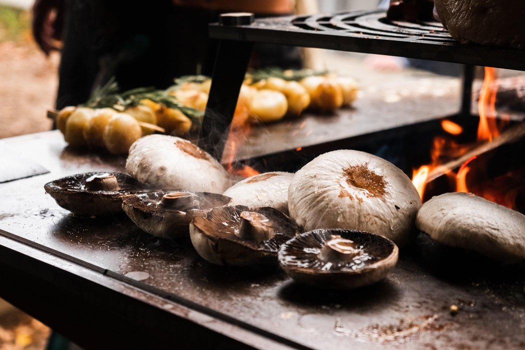 Vulcanus Pro 910 Masterchef Outdoor Wood Fire Grill